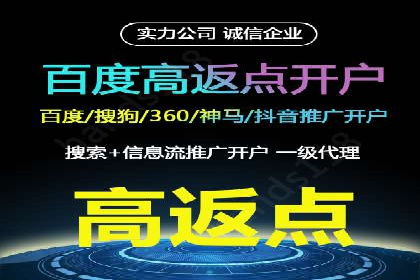 百度竞价推广代运营经典案例分析